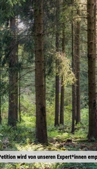petition12062020ecogood.jpg